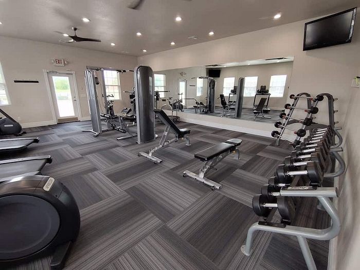 Modern fitness center featuring state-of-the-art gym equipment, sleek flooring, and expansive mirrors. Ideal for energizing workouts in a spacious setting.
