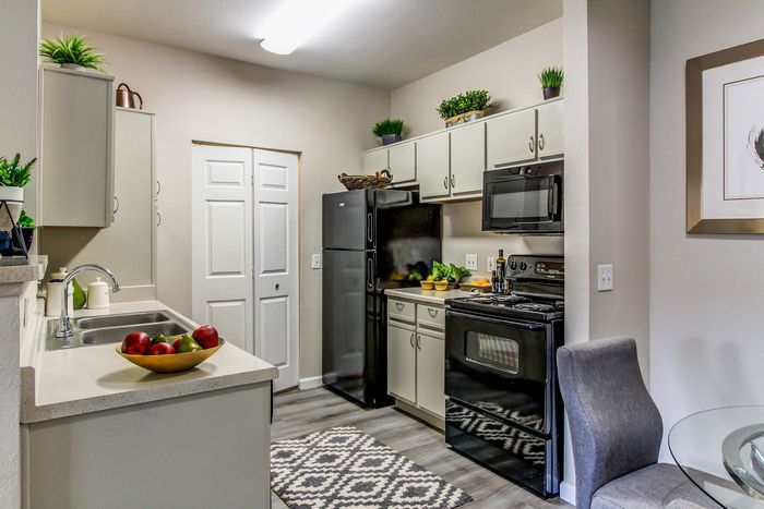 Modern kitchen with sleek black appliances, elegant cabinetry, and vibrant decor for a stylish living experience.