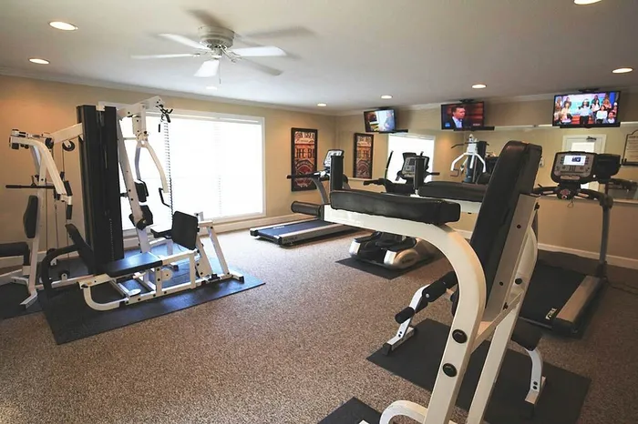 Modern gym facility with state-of-the-art fitness equipment, large windows, and mounted TVs for an energizing workout experience.
