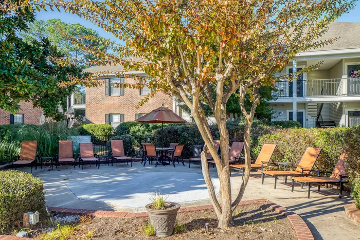 Charming courtyard oasis with comfortable lounge chairs, vibrant foliage, and a welcoming atmosphere for relaxation.