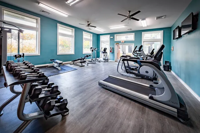 Modern gym with bright windows featuring treadmills, dumbbells, and strength training equipment on sleek wood flooring.