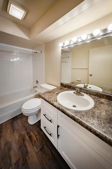 Modern bathroom with elegant wood flooring, granite countertop, and bright vanity lighting, featuring a pristine bathtub and sleek fixtures.