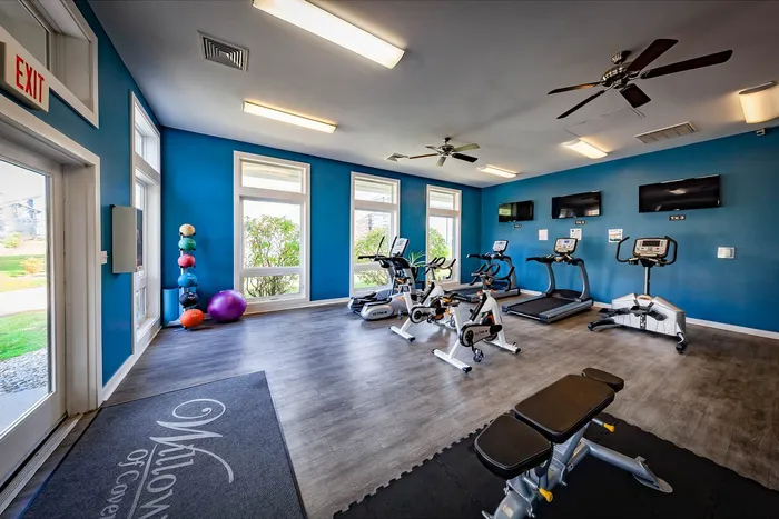 Bright and airy fitness center featuring cardio machines, exercise bikes, and vibrant blue walls, perfect for refreshing workouts.