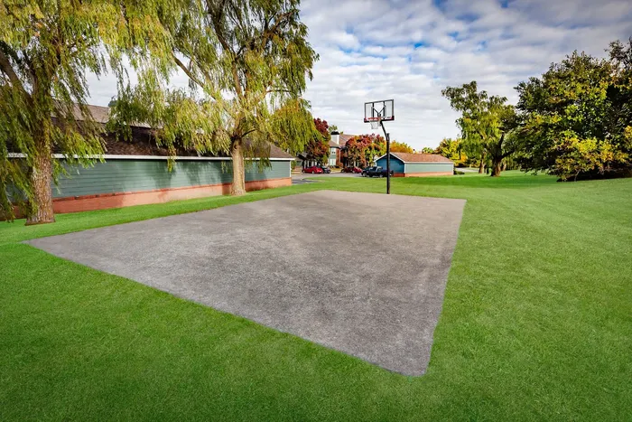 Inviting outdoor basketball court surrounded by lush greenery and scenic views, perfect for sports enthusiasts and leisurely gatherings.