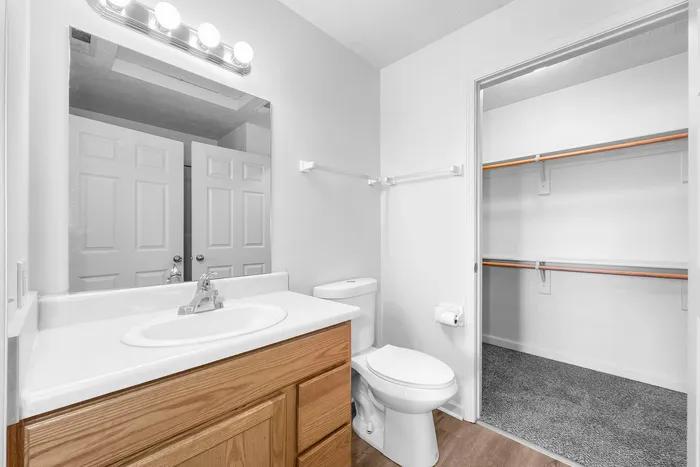 Contemporary bathroom featuring a sleek vanity with large mirror, modern lighting, and a spacious walk-in closet.