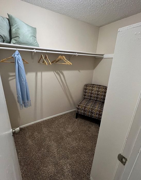 Spacious walk-in closet with carpeted flooring, featuring ample shelf space, wooden hangers, and a cozy seating area.