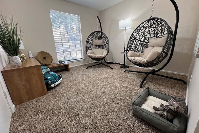 Cozy living space featuring stylish hanging chairs, contemporary decor, and a warm carpeted floor, creating a relaxing and welcoming atmosphere.