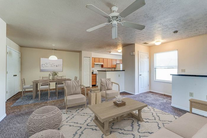 Inviting open-plan living area with cozy seating, elegant dining space, and a modern kitchen, perfect for comfortable living.