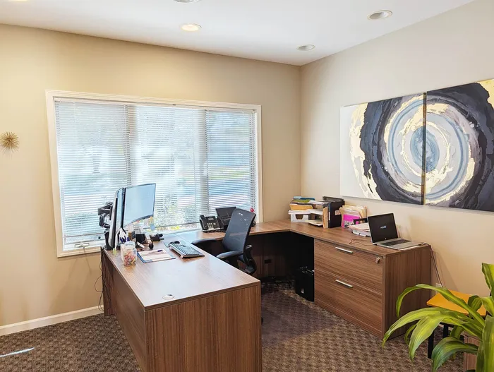 Modern home office with elegant wood furniture, large window for natural light, abstract art, and lush indoor plant.