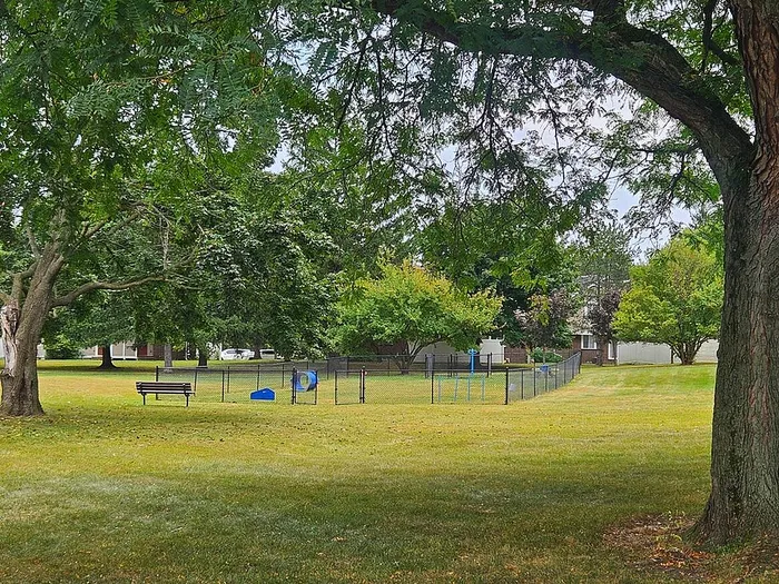 Serene park view with lush green trees, a cozy bench, and a fenced area for recreation.