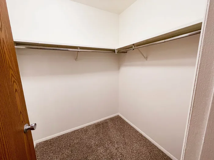 Spacious walk-in closet with plush carpeting and ample shelving, perfect for organized storage.