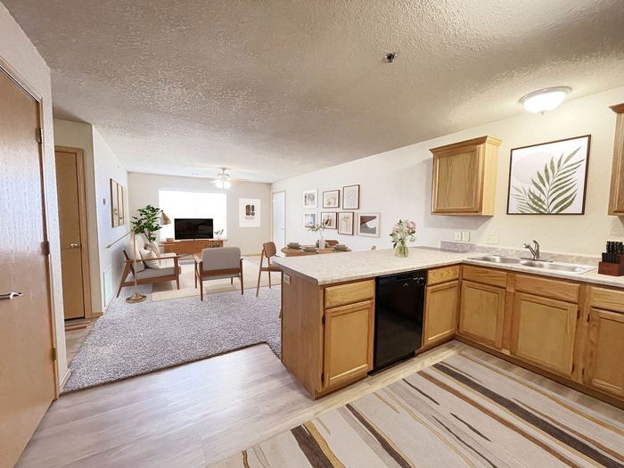 Inviting open-concept apartment featuring a cozy living area, modern kitchen with light wood cabinetry, and stylish decor.