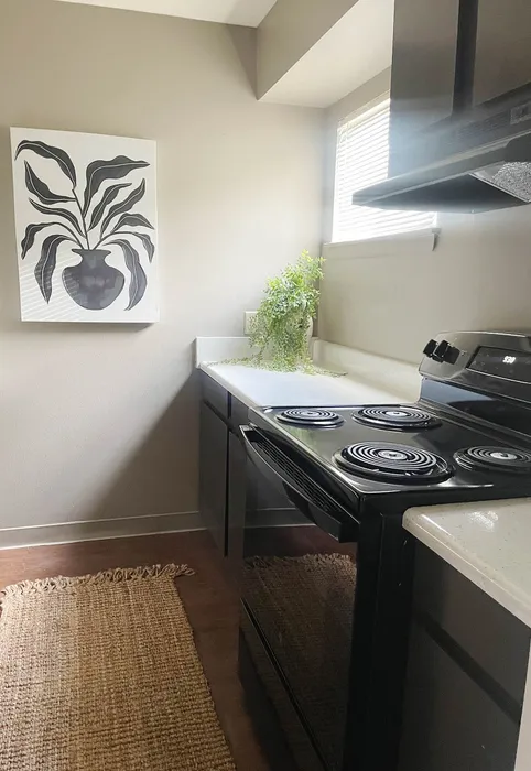 Contemporary kitchen with modern black appliances, elegant wall art, and lush greenery, offering a cozy and stylish cooking space.