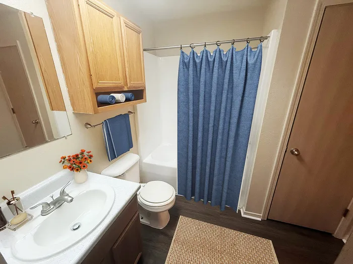 Inviting bathroom with elegant fixtures, rich wood cabinetry, and a stylish blue shower curtain.