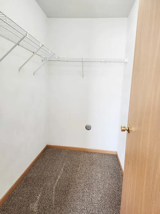 Spacious walk-in closet with cozy carpet and ample shelving for organized storage.