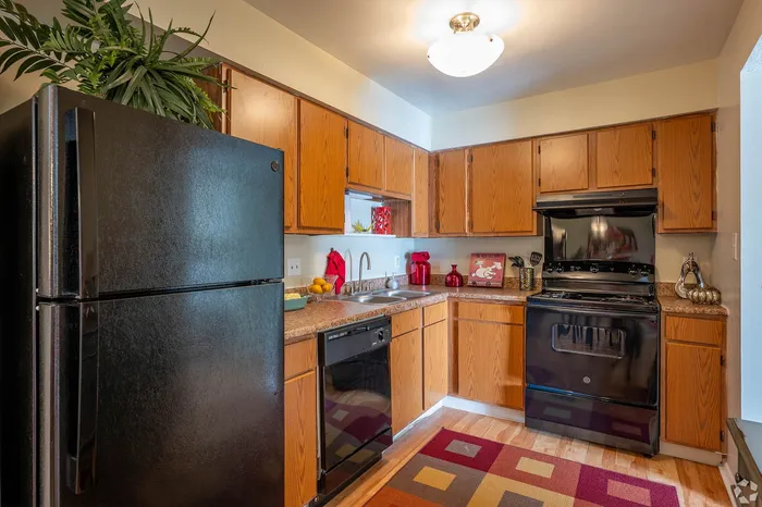 Charming kitchen with warm wood cabinets, sleek black appliances, and vibrant decor enhancing the modern space.