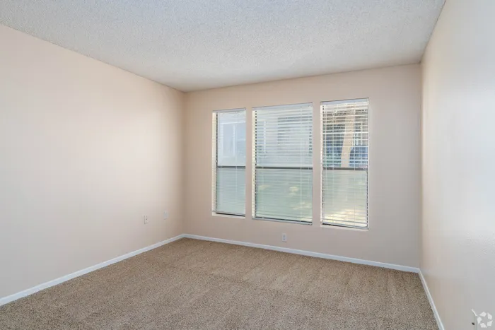 Bright and inviting empty room with large windows and plush carpet, perfect for personal customization.