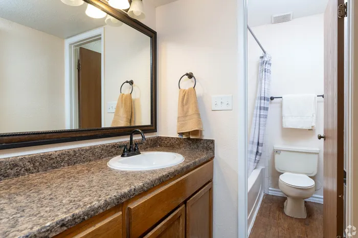 Charming bathroom with elegant granite countertop, framed mirror, and sleek fixtures, featuring a cozy shower area.
