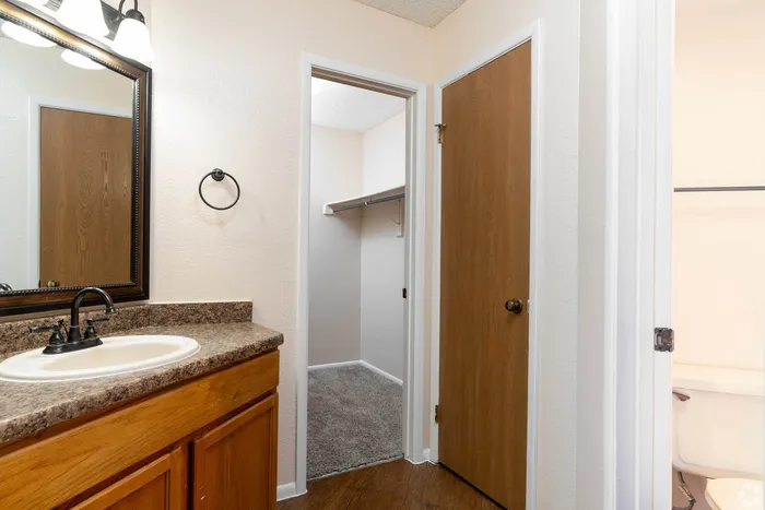 Elegant bathroom with modern vanity, stunning countertops, and access to spacious walk-in closet.