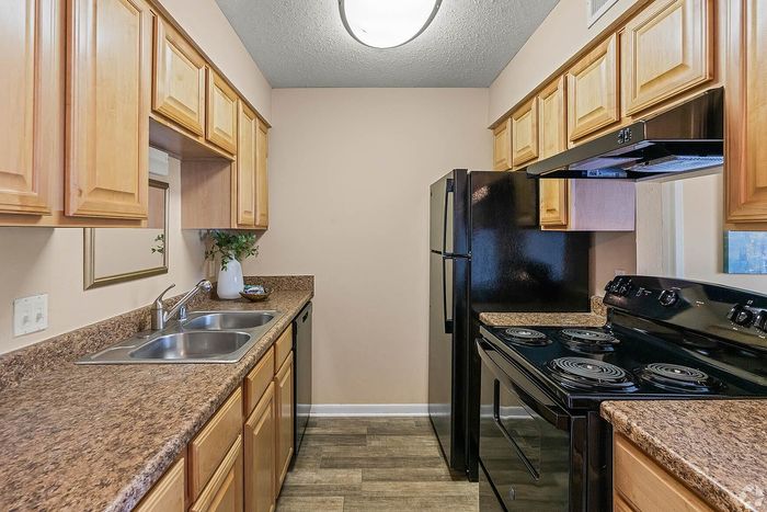 Modern kitchen with sleek black appliances, abundant counter space, and elegant wood cabinetry.