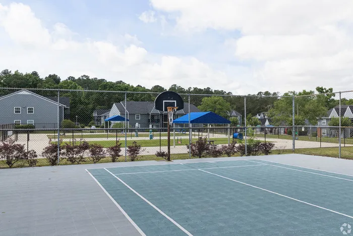 Inviting community basketball court with scenic surroundings and well-maintained homes in the background, perfect for outdoor recreation and family activities.