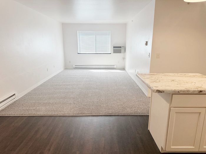 Bright open living space with elegant flooring, sunlit window, and modern kitchen countertop in a stylish apartment.