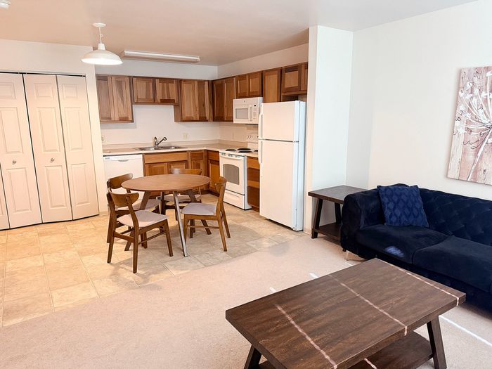 Inviting open-concept apartment featuring a modern kitchen with wood cabinets, cozy dining area, and stylish living room with chic decor.