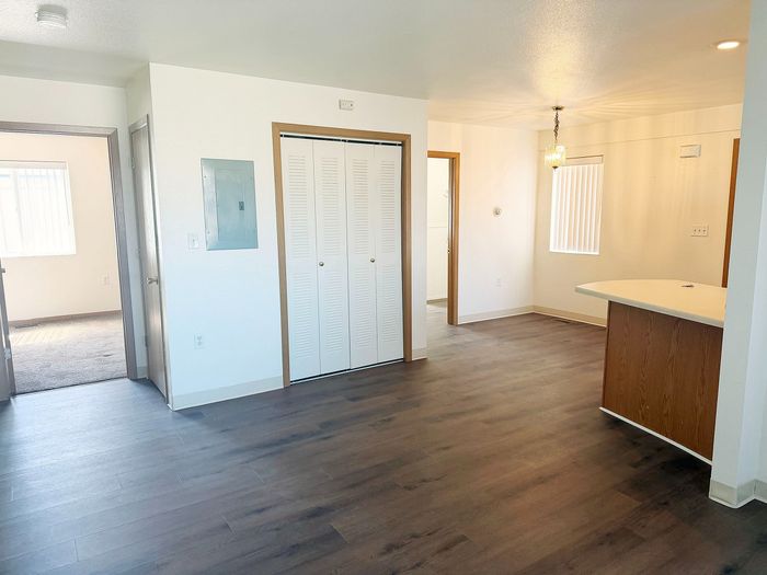 Modern apartment interior with elegant wood flooring, abundant natural light, and a cozy open-plan layout featuring a stylish breakfast bar.