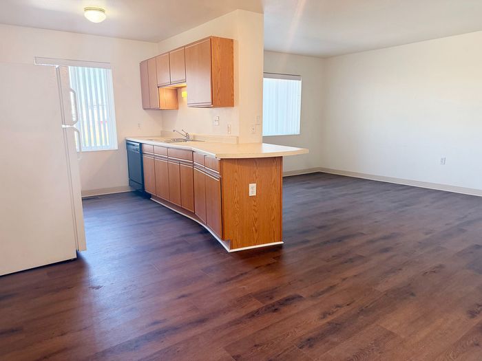 Bright kitchen and living area with modern wood floors and generous natural light from large windows, perfect for comfortable living.