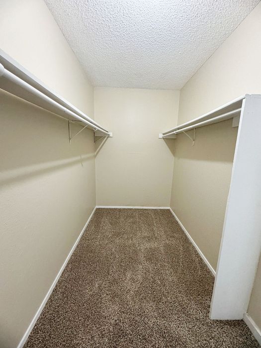 Spacious and pristine walk-in closet featuring plush carpet and dual hanging rods for ample storage.