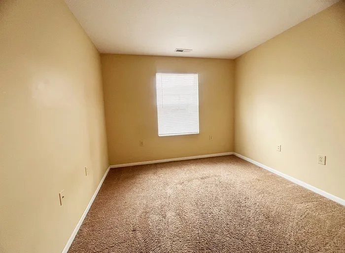 Bright and airy room with plush carpeting, neutral walls, and a large window providing natural light.