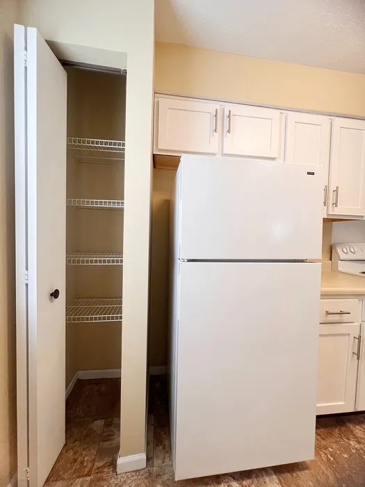 Modern kitchen featuring sleek white cabinetry, a spacious refrigerator, and a convenient pantry with ample shelving.
