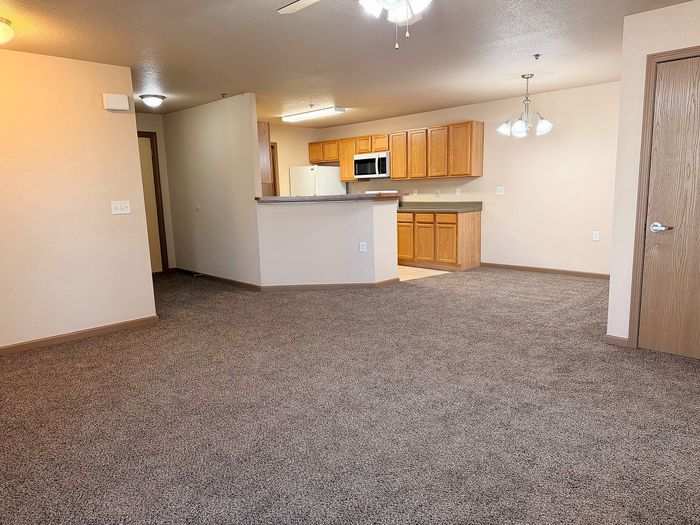 Inviting open-concept living space featuring plush carpet, cozy kitchen, and modern lighting fixtures.