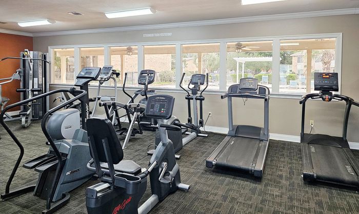Modern fitness center with state-of-the-art exercise equipment and large windows offering a refreshing view.