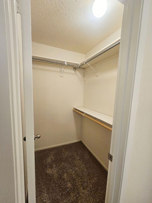 Spacious walk-in closet with ample shelving and warm lighting, perfect for organized living.