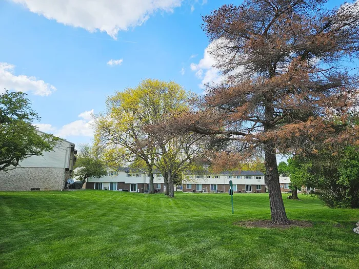 Charming apartment complex nestled amid lush greenery and vibrant trees, offering serene outdoor spaces and a welcoming community feel.