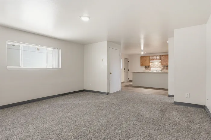 Inviting open-concept apartment with plush gray carpeting, bright window light, and a modern kitchen featuring warm wood cabinetry.