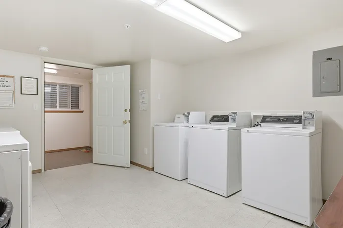 Bright and inviting laundry room equipped with modern washing machines, featuring ample space and contemporary lighting.
