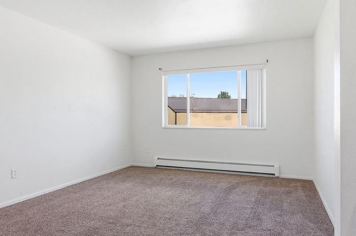 Bright and airy room featuring plush carpet, large window with modern blinds, and abundant natural light.