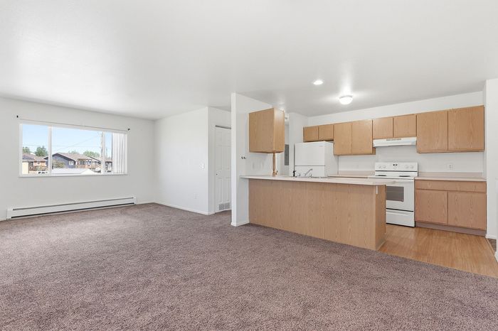 Bright open-concept apartment with cozy carpeted living space, modern kitchen cabinets, and large window for natural light.