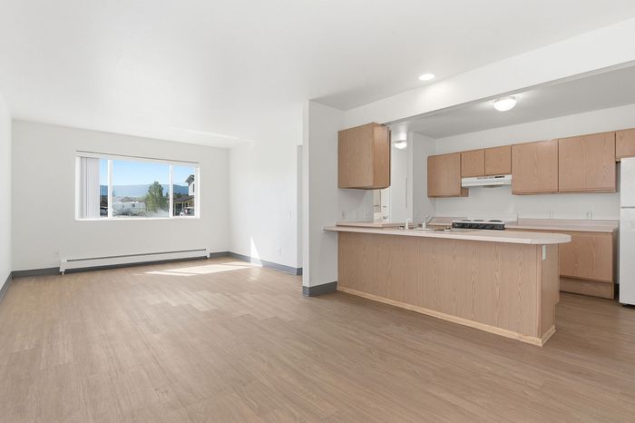 Bright and spacious open-plan kitchen and living area with elegant wood flooring and ample natural light.