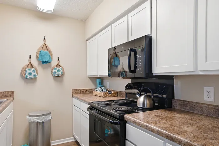 Modern kitchen with sleek black appliances, granite countertops, and stylish white cabinetry accented by vibrant teal decor.