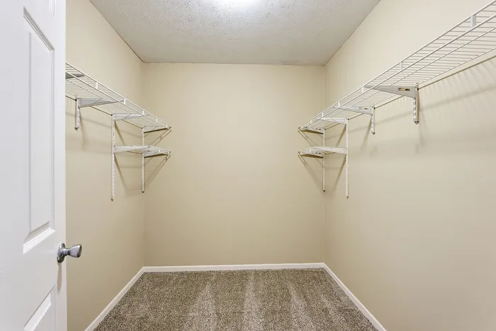 Spacious walk-in closet with ample shelving and soft carpeting, perfect for organized storage solutions.