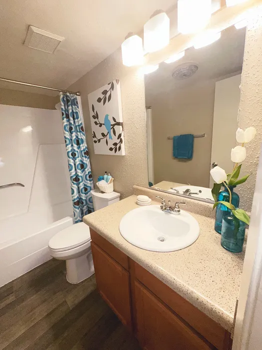 Elegant bathroom with modern fixtures, bright lighting, and unique decor, featuring a sleek vanity and vibrant shower curtain.
