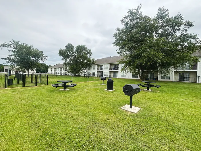 Inviting outdoor space featuring lush green lawns, picnic tables, and barbecue grills, set against the backdrop of charming residential buildings.