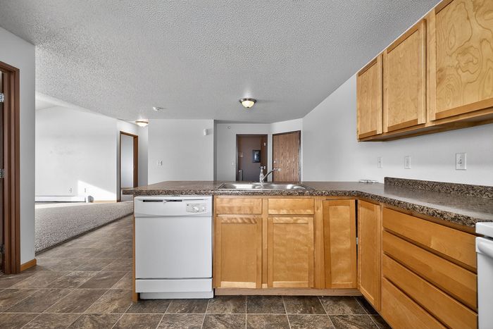Spacious apartment kitchen with modern wooden cabinetry, sleek countertops, and open flow into carpeted living area.