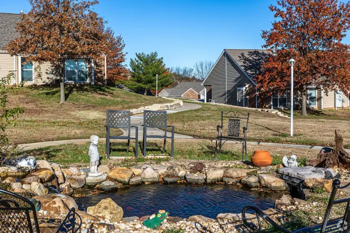 beautiful fish pond