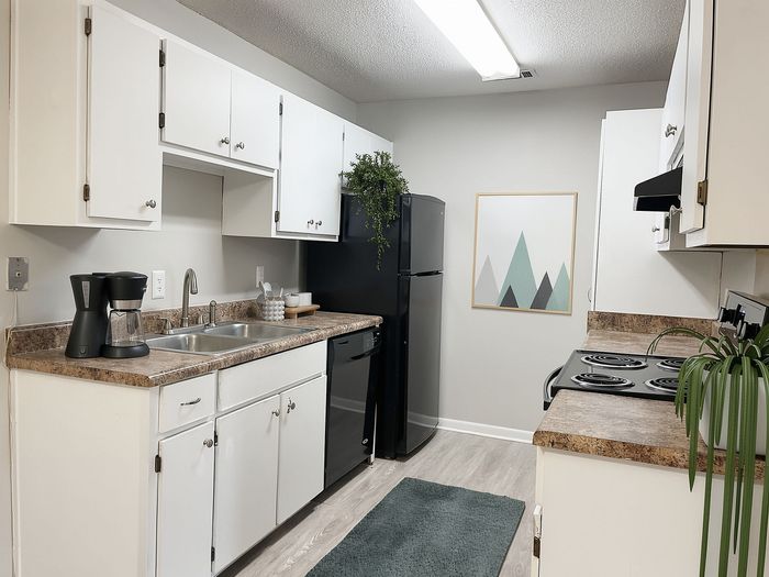 Modern kitchen with sleek white cabinets, black appliances, and stylish decor, perfect for culinary enthusiasts.
