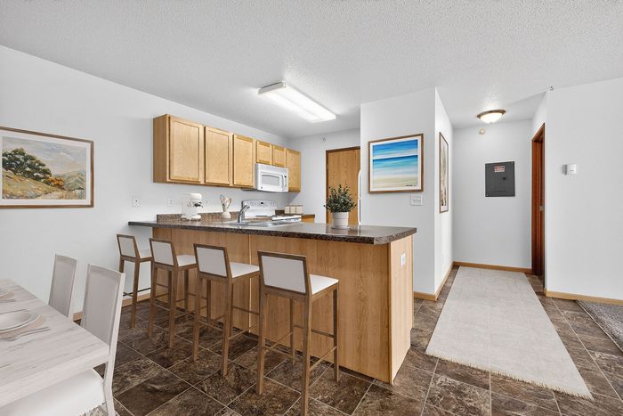 Inviting kitchen space with modern appliances, sleek countertops, and a cozy breakfast bar in a bright apartment setting.