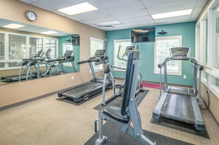 Modern fitness center with state-of-the-art treadmills and exercise equipment, bathed in natural light.
